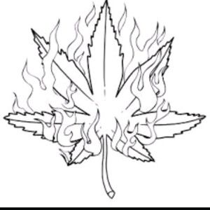 Meet your Posher, Donald